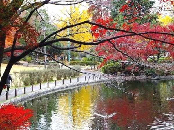 周辺環境(区立蚕糸の森公園 709m)