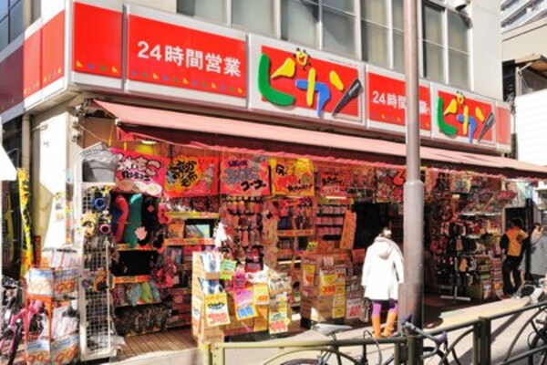 周辺環境(ドン・キホーテ ピカソ三軒茶屋店 1166m)