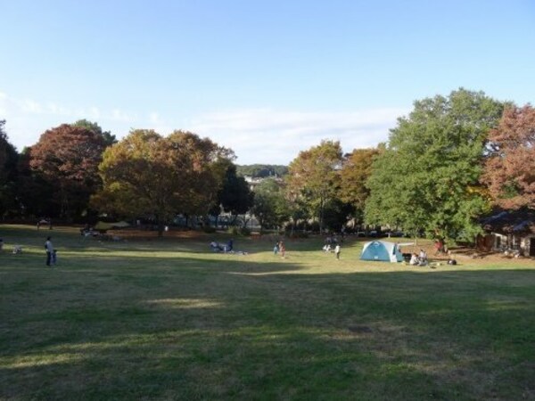 周辺環境(富士見台公園 719m)