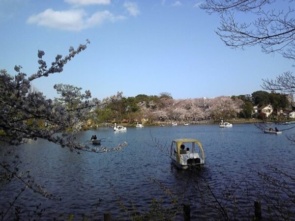 周辺環境(洗足池公園 796m)