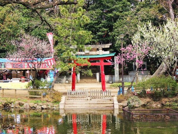 周辺環境(千束八幡神社 898m)