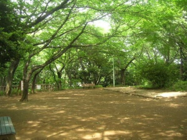 周辺環境(本門寺公園 760m)