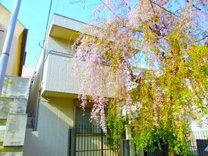 R GARDEN JIYUGAOKA　アールガーデンジユウガオカ外観写真