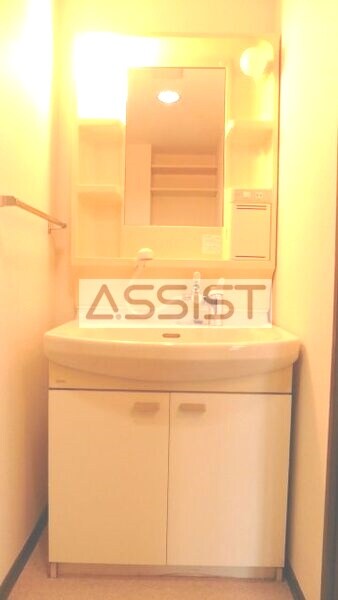 独立洗面台(写真：設備同仕様の別号室です)