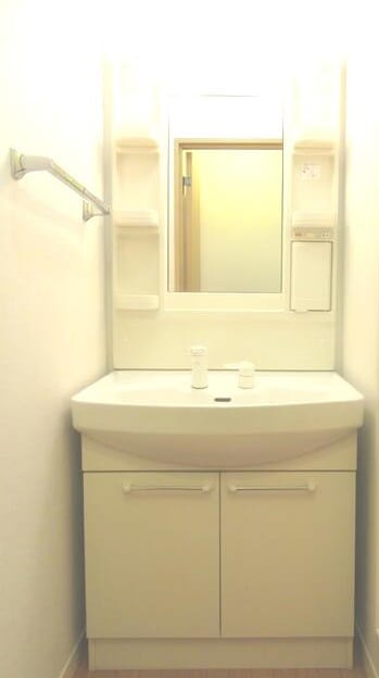 洗面・脱衣所(写真：設備同仕様の別物件です)