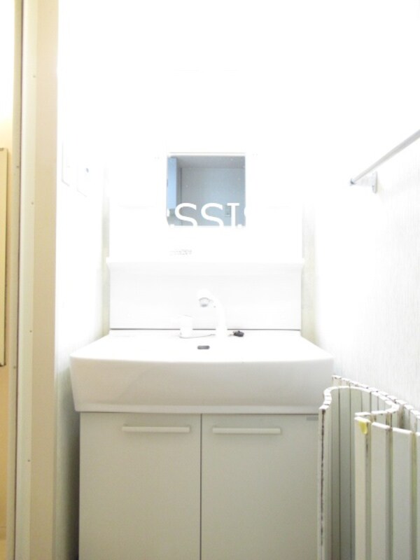 独立洗面台(写真：設備同仕様の別号室です)
