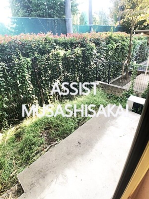 庭