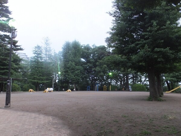 周辺環境(調布市上ノ原公園 581m)