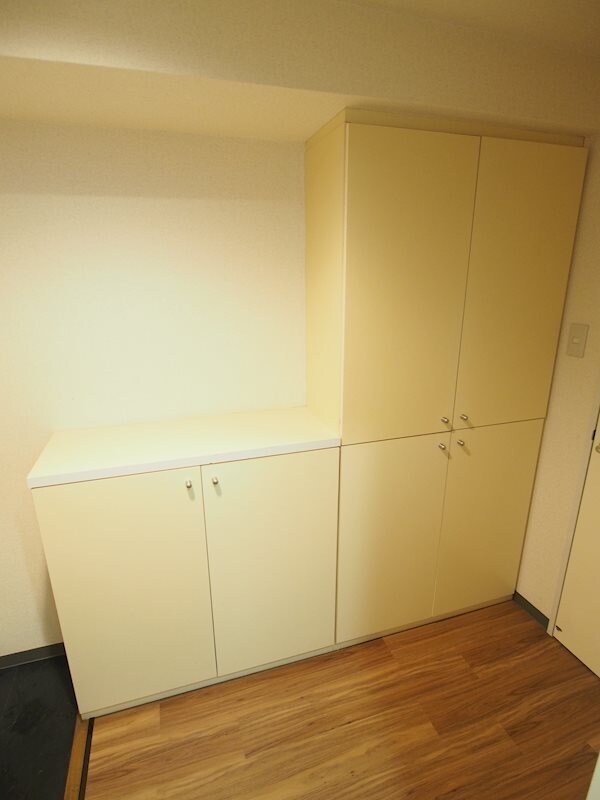 物件内観写真16　(玄関収納（1）)