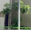 世田谷区東玉川1丁目戸建