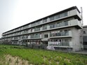 メゾン一番館