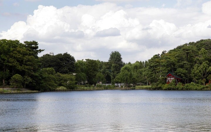 物件内観写真19　(洗足池 1910m)