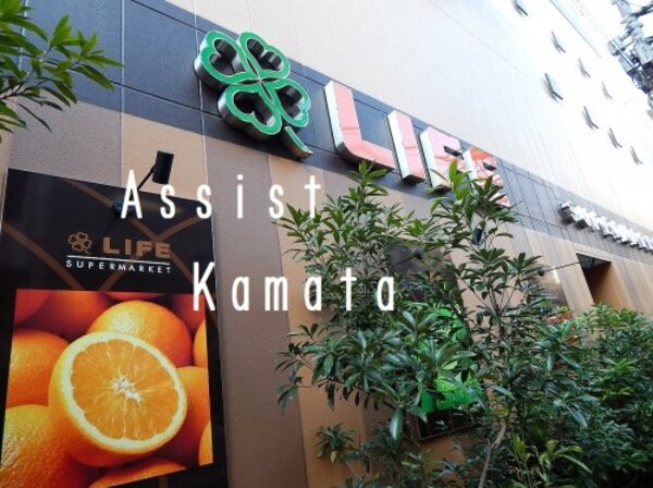 周辺環境(ライフ 上池台店 1151m)
