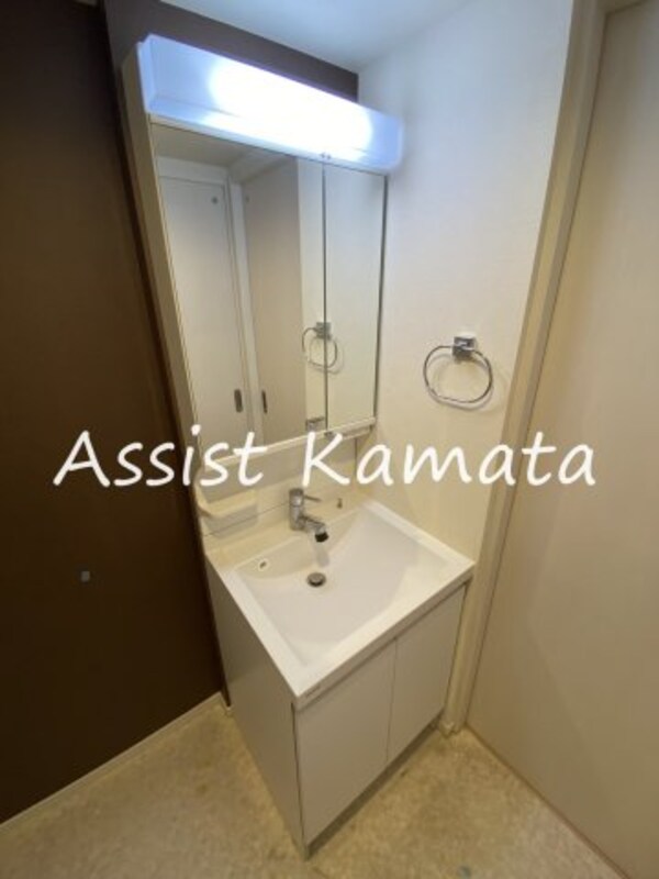 独立洗面台(写真は同タイプの別号室です)