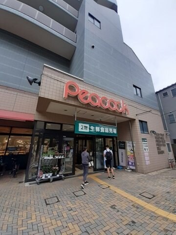 物件外観写真5　(ピーコックまで500m)