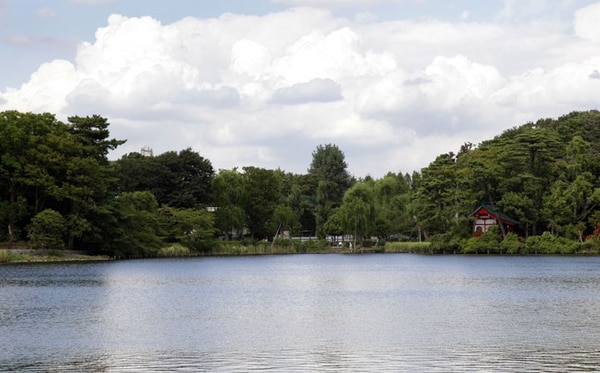 周辺環境(洗足池 1719m)