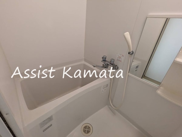 浴室(写真は同タイプの別号室です)