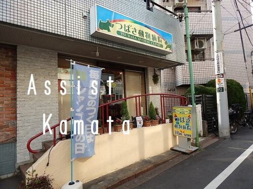 物件内観写真25　(つばさ動物病院 1459m)