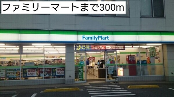 周辺環境(ファミリーマートまで300m)