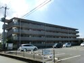 ユーフォリア
