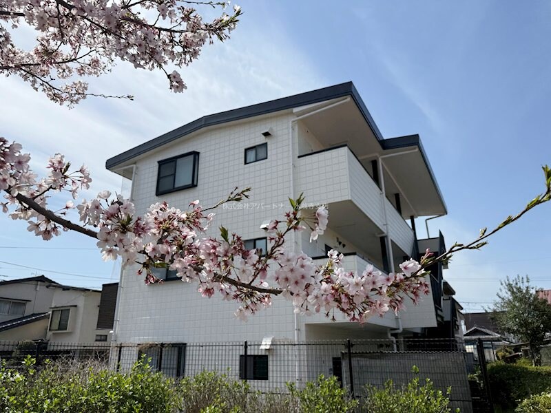 物件内観写真15　(春には満開の桜が楽しめる公園と隣接しています！)