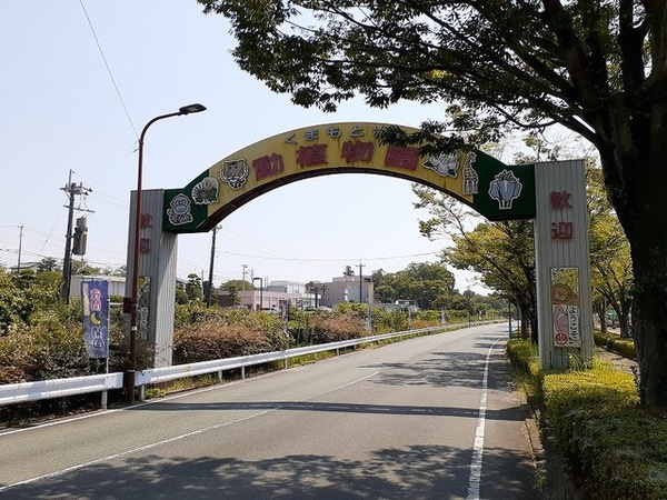 その他(熊本市動植物園まで350m)