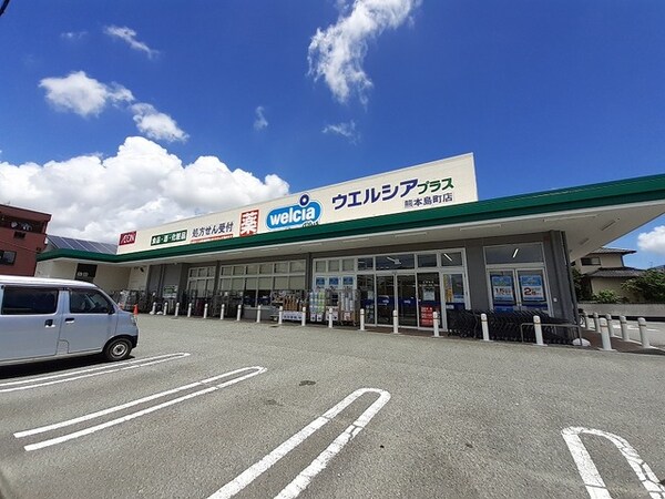 その他(ウエルシアプラス島町店まで1700m)
