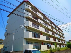 ハイツマルニシ外観写真