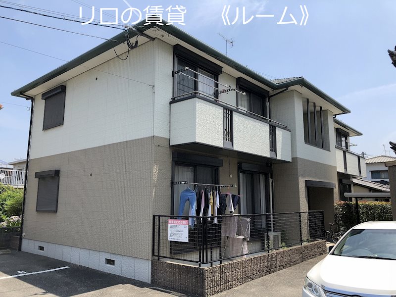 エーデルワイス