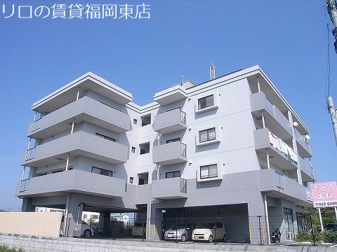 ソフィアコート扇