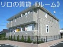 シャラの木
