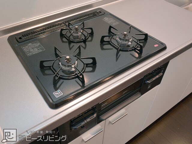 物件内観写真7　(ピース リベルタ 川内北原 ※同タイプの室内写真です)