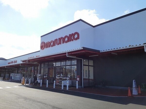 周辺環境(マルナカ佐古店さんまで800m)