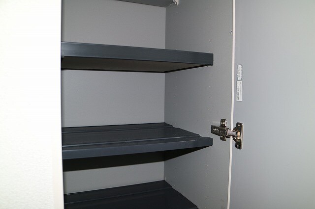 物件内観写真25　(玄関に段数の多い靴箱)