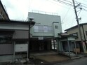 こすもす