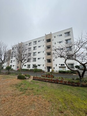 高倉台11団地55号棟外観写真