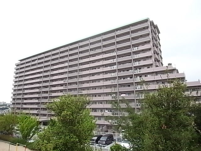ウィンヒルズジェームス山