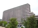 ウィンヒルズジェームス山
