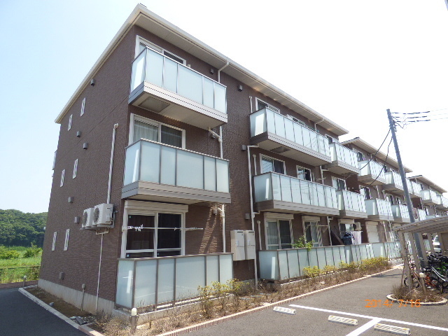 オアシス?