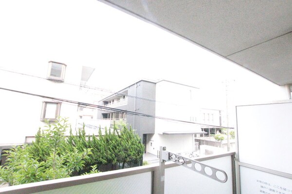 景色(緑が綺麗ですね♪)