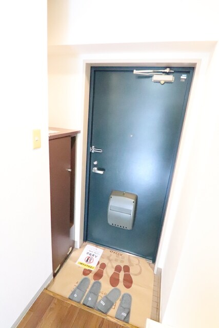 物件内観写真11　(玄関は広々しています)