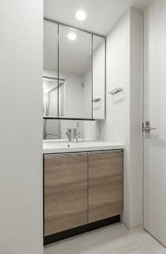 物件内観写真8　(嬉しい独立洗面台付き。)