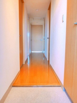 物件内観写真11　(シューズボックス完備。)