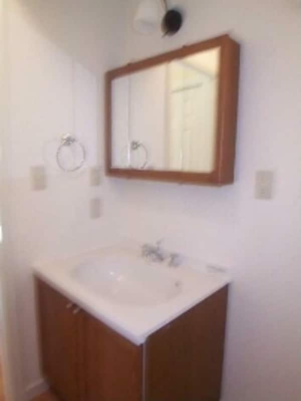 独立洗面台(嬉しい独立洗面台付き。)