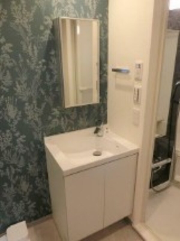 独立洗面台(嬉しい独立洗面台付き。)