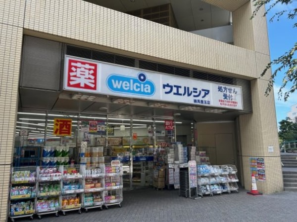 周辺環境(ウェルシア 835m)