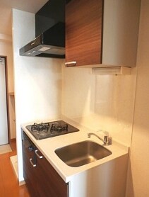 物件内観写真4　(2口ガスのシステムキッチン。)