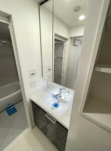 物件内観写真6　(嬉しい独立洗面台付き。)