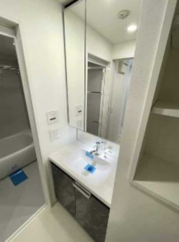 独立洗面台(嬉しい独立洗面台付き。)