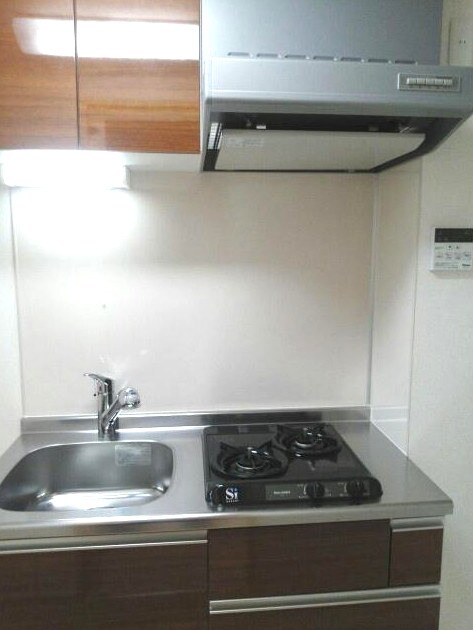 物件内観写真4　(2口コンロのシステムキッチン。)